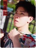 鋌而走險（步步高升）（幸福人生）(全集)