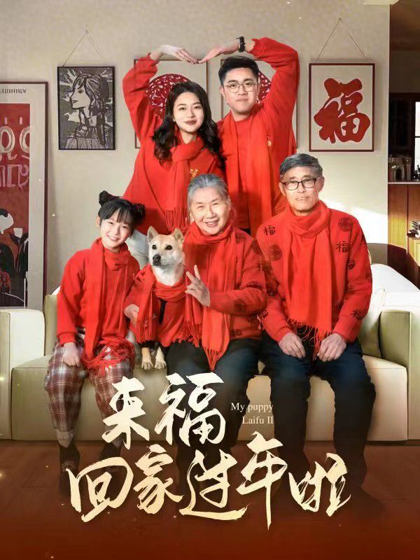 來?；丶疫^年啦(全集)