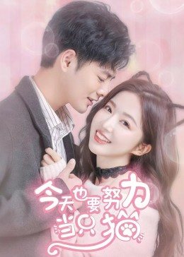 今天也要努力當(dāng)只貓