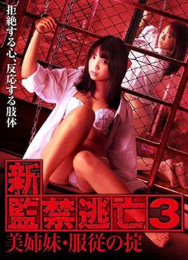 新監(jiān)禁逃亡3：美姐妹服從守則