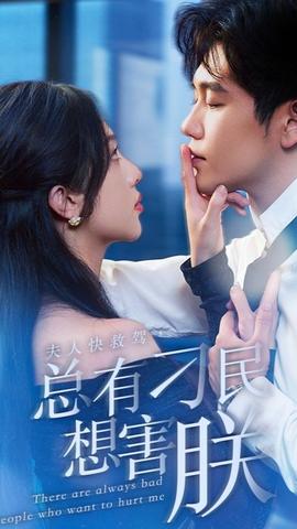 夫人快救駕，總有刁民想害朕(全集)