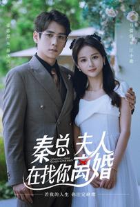 秦總，夫人在找你離婚(全集)