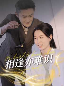 相逢亦難識(shí)(全集)