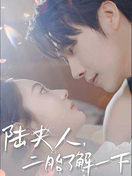 陸夫人，二胎了解一下(全集)