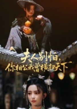 夫人別怕，你相公我曾橫掃天下(全集)