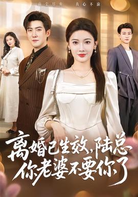 離婚已生效，陸總你老婆不要你了(全集)