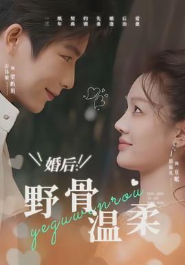婚后：野骨溫柔(全集)