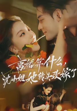 離婚算什么，沈小姐她轉(zhuǎn)頭改嫁了(全集)