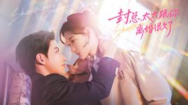 封總，太太跟你離婚很久了(全集)