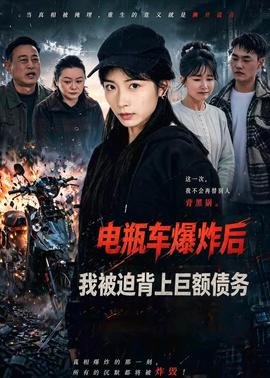 電瓶車爆炸后，我被迫背上巨額債務(wù)(全集)